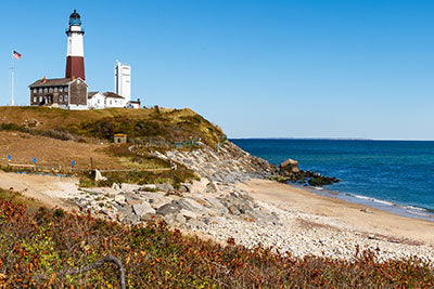 Long Island is the natural home for cattle