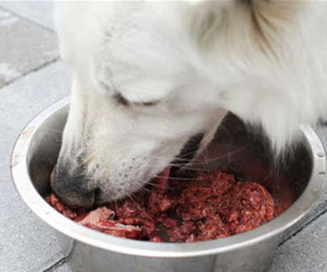 The Importance Of A Balanced Raw Diet For Dogs