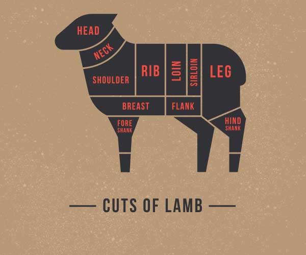 Exploring Lamb Meat Cuts: A Guide to Choosing the Perfect Cut for Your