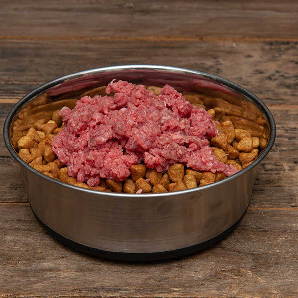 Can dogs have raw ground beef best sale